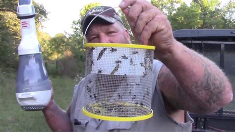 cricket box for fishing